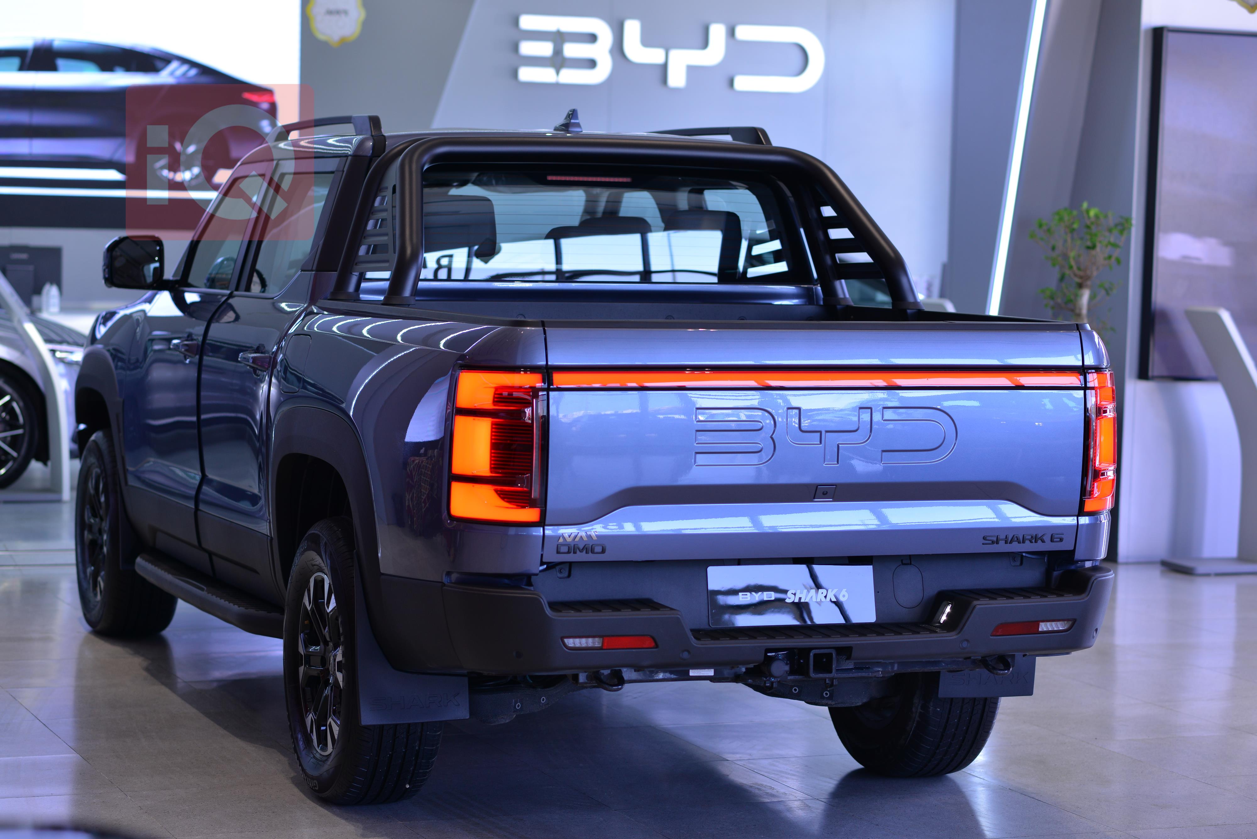 بي واي دي شارك 6